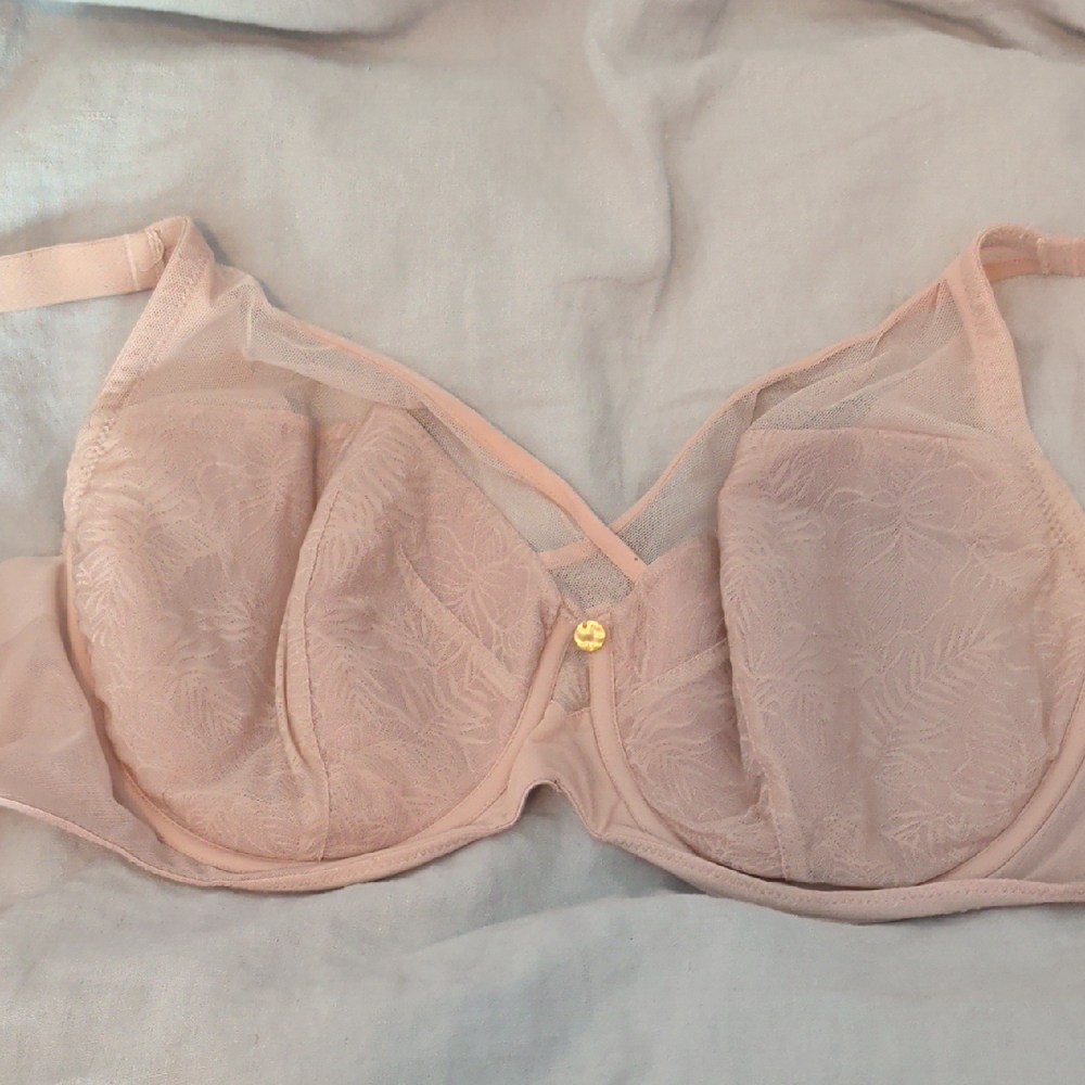 Understance Light Pink Bra Size 36DDD
